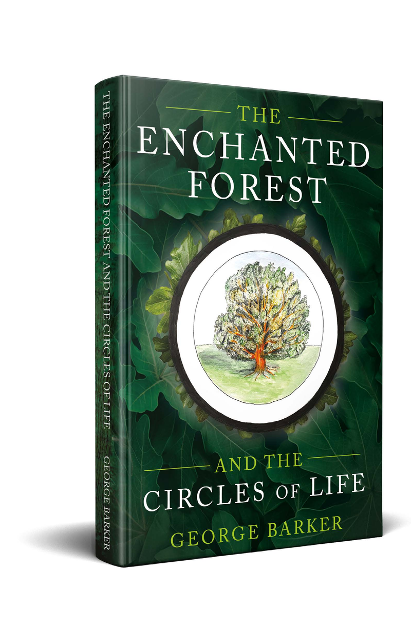 The Enchanted Forest and the Circles of Life book cover
